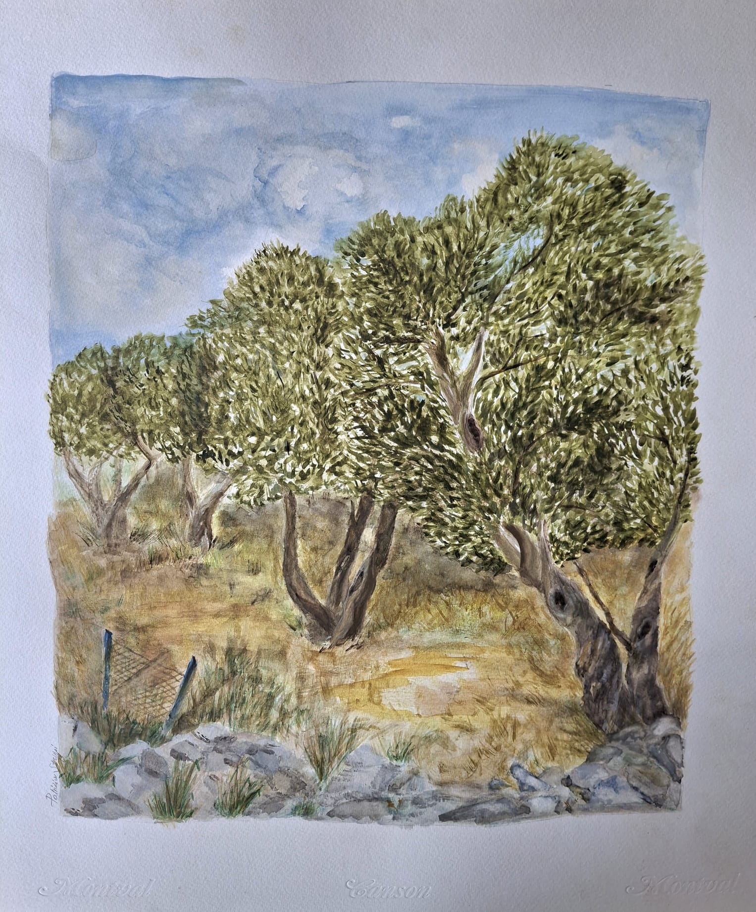 Alte Olivenbäume II – Aquarell von Patrizia Steppi